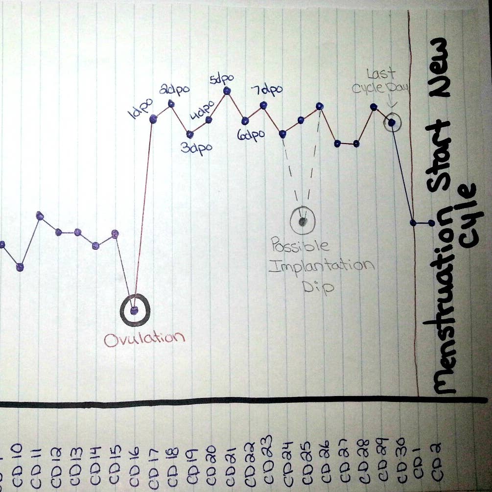 How to Chart Basal Body Temperature - WeHaveKids